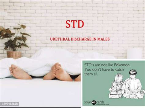 STD - Urethral Discharge In Males / Gonorrhea | PPT