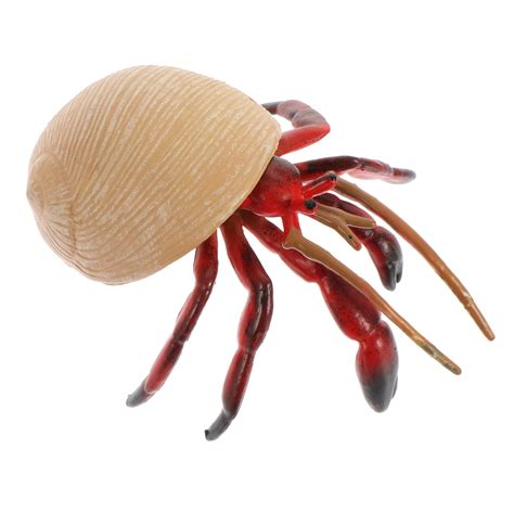 Hermit Crab Model Models Toys Marine Animal Sea Plastic Simulation Kids