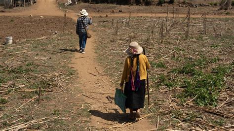 Fenómeno De El Niño En México Registra Temperaturas Superiores A 45