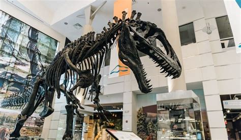 Virginia Museum of Natural History | History, Travel, Arts, Science ...