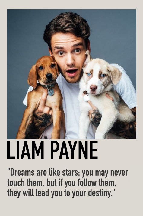 LIAM PAYNE POLAROID POSTER by me | Liam payne, One direction songs ...