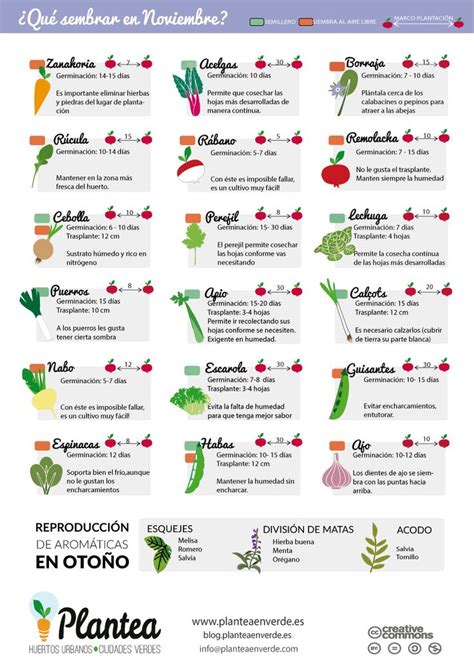 El Huerto En Macetas Qu Sembrar En Noviembre