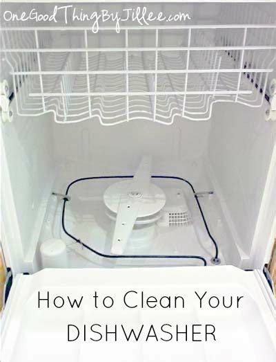 20 Best Kitchen Cleaning Tips - Craftionary