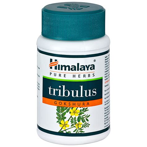 Gokshura 60 Kap Tribulus Terrestris Praxis für Chirurgie Dr Mathew