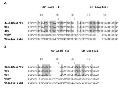 Viruses Free Full Text Molecular Characterization Of Viruses From