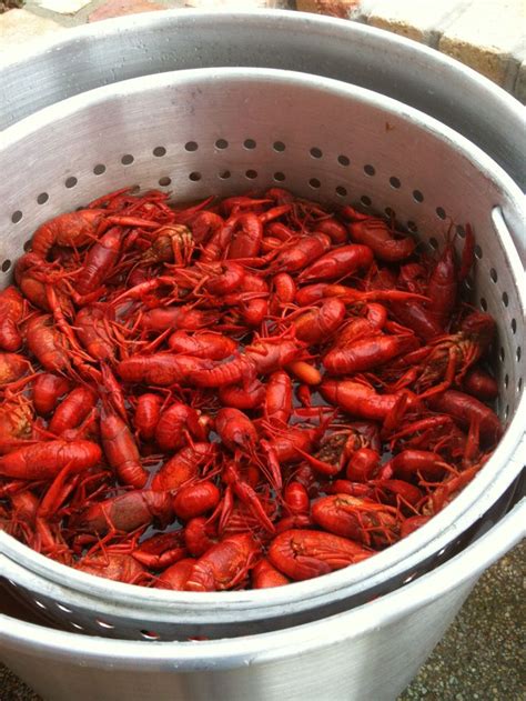 crab boil seasoning walmart