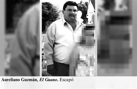 Al EjÉrcito “se Les EscapÓ” El Guano Hermano De El Chapo GuzmÁn Vertical