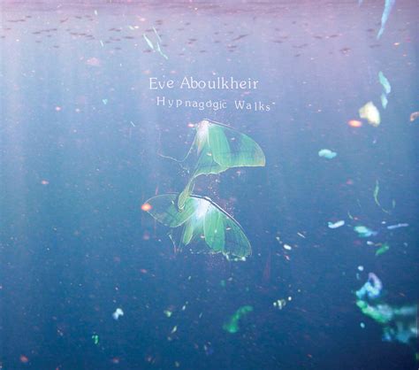 Hypnagogic Walks By Eve Aboulkheir Album Electroacoustic Reviews