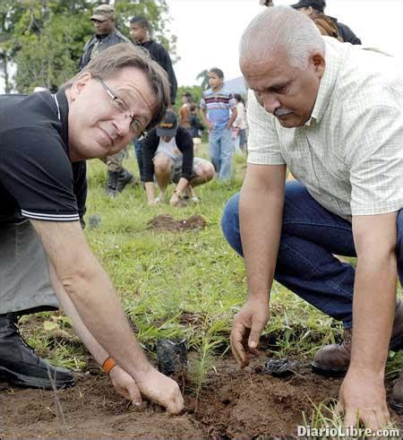 Empresas privadas siembran 25 mil árboles en la frontera Diario Libre