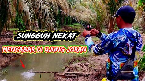 Casting Tak Di Sangka Parit Kecil Banyak Predator Nya Rubyfishing