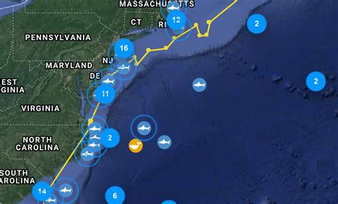 Researchers Tracking Great White Shark Spotted Recently Along New