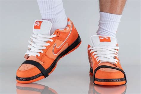 On Foot With The Concepts X Nike SB Dunk Low Orange Lobster Sneaker