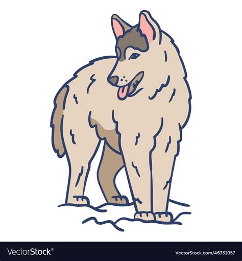 Arctic wolf Royalty Free Vector Image - VectorStock