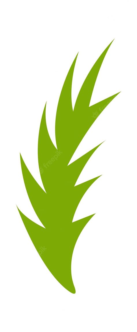 Premium Vector | Palm Tree leaf Vector illustration