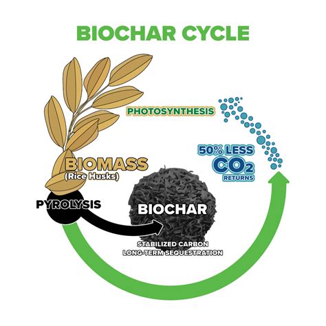 Biocarbon Glanris Biocarbon Biochar