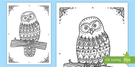 Morepork Owl Mindfulness Colouring Page Twinkl