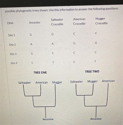 Solved Possible Phylogenetic Trees Shown Use This