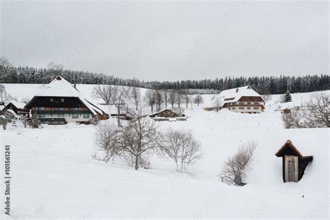 Typical black forest houses Stock Photo | Adobe Stock