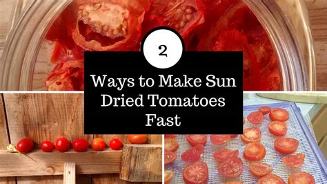 Sun Dried Tomatoes In Dehydrator And Dried Tomato Sauce Recipe