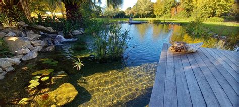 Living And Natural Pool Design Landscapes Home Magazine