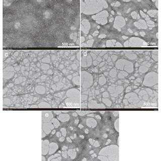 Transmission Electron Micrographs TEM Of Unmodified And Modified