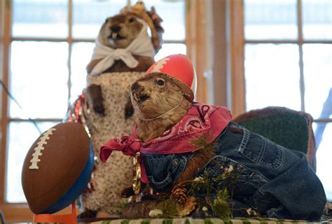 Grover and Sue from Pine Grove, Pennsylvania — GROUNDHOG DAY