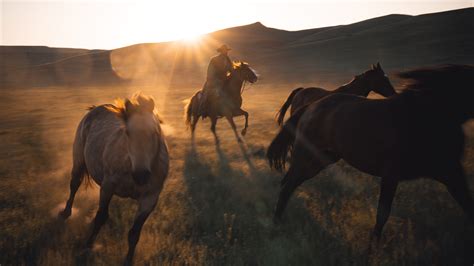 Financial reports explain how bootbarn dominates the boot market 21