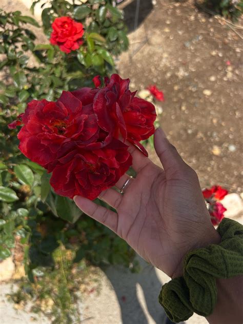 Claire Abbott | 🪄 ️🦋☁️ | Instagram