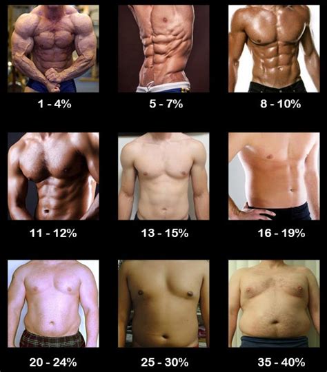 Como Identificar Rapidamente Seu Percentual De Gordura Corporal