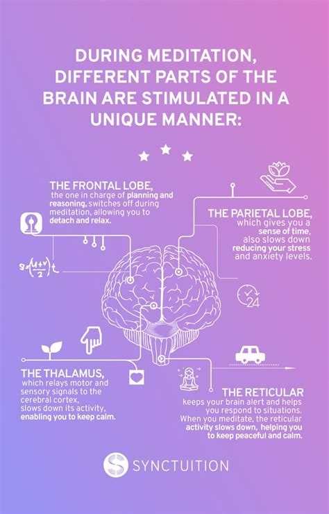 During Meditation, Different Parts Of The Brain Are Stimulated In A ...