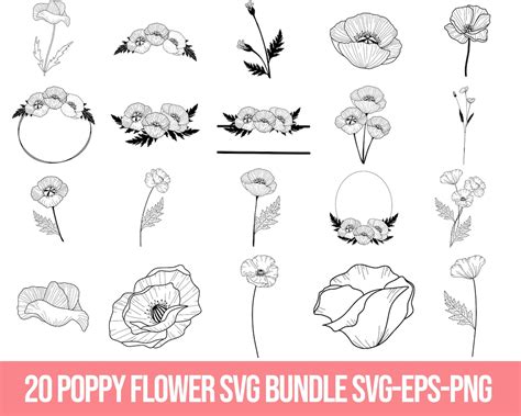 Poppy Flower Svg Flower Svg Bundle Wildflower Svg Floral Svg Botanical ...