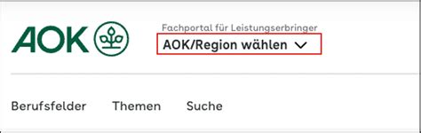 Informationen Zum AOK Gesundheits Partner Portal In Leichter Sprache