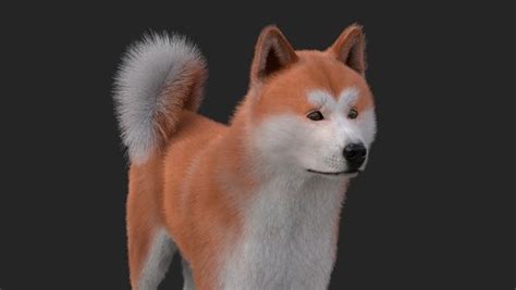 turbosquid