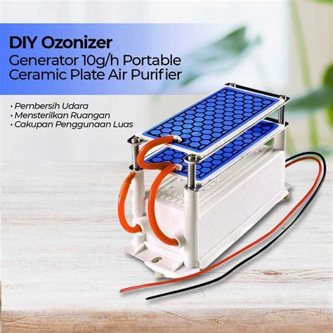 Jual Ozonizer Diy Ozone Generator 10g H Portable Ceramic Plate