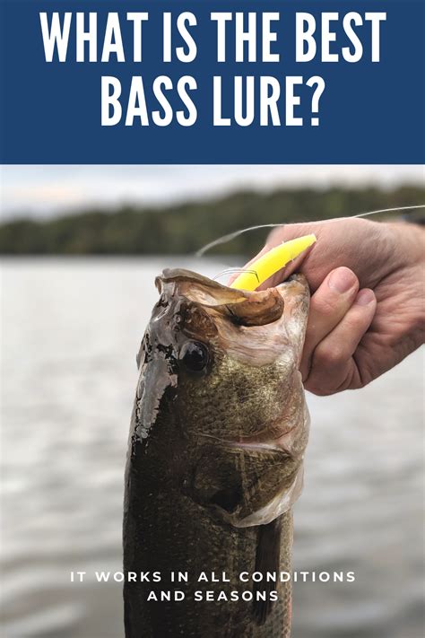 What Is The Best Bass Lure Artofit