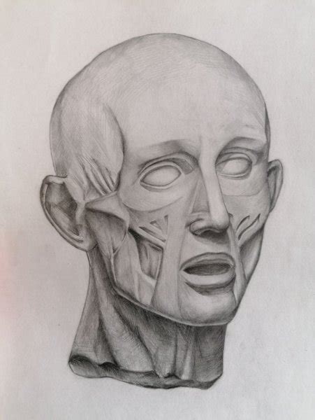 Гудон рисунок (50 фото)