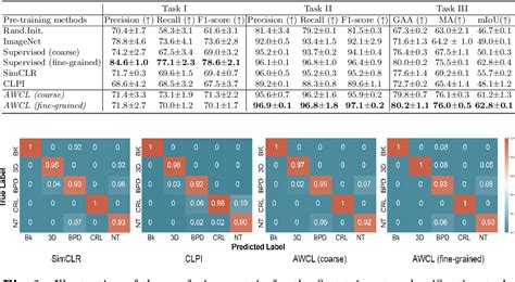 Figure 1 From Anatomy Aware Contrastive Representation Learning For Fetal Ultrasound Semantic