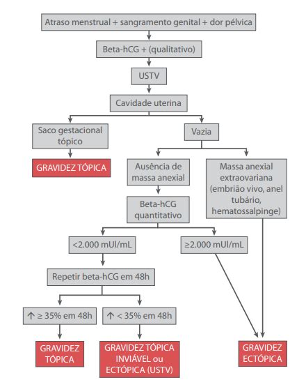 Gravidez Ect Pica O Que Fisiopatologia E Tratamento