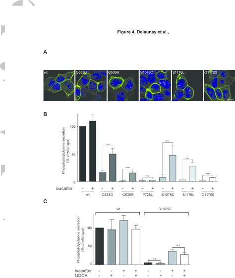 Figure 1 From Functional Defect Of Variants In The ATP Binding Sites Of