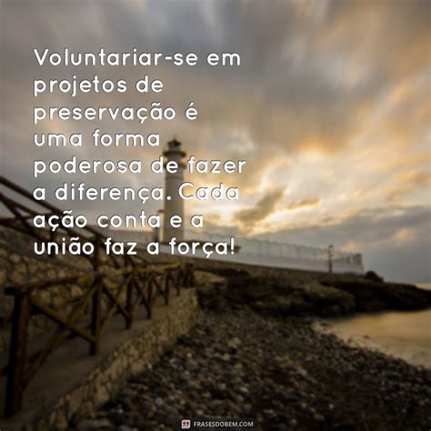 Frases Para Preservar O Meio Ambiente - 10 Dicas Eficazes para Preservar o Meio Ambiente e Proteger o Planeta ...