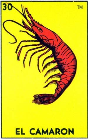 Shrimp Loteria Cards Retro Illustration Loteria