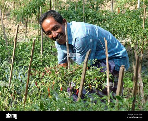 Indonesian Farmer 4843328698 Stock Photo Alamy