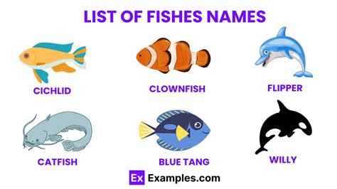 Fish Names - 50+ Pet Fish Names, Ideas, Meaning.