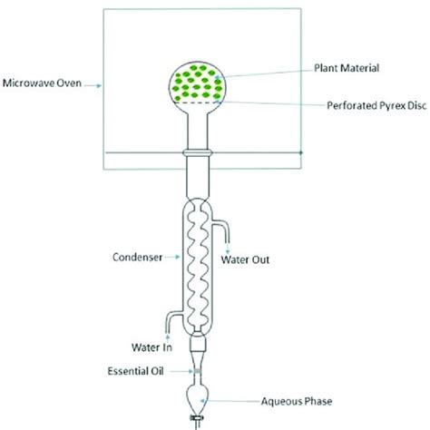 4 Schematic Of Steam Distillation Extraction Process Download