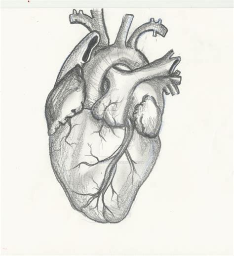 Heart Pencil Sketch at PaintingValley.com | Explore collection of Heart ...