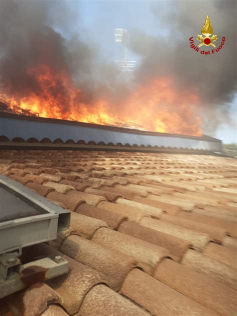 Incendi Ad Acireale E Patern Foto Live Sicilia