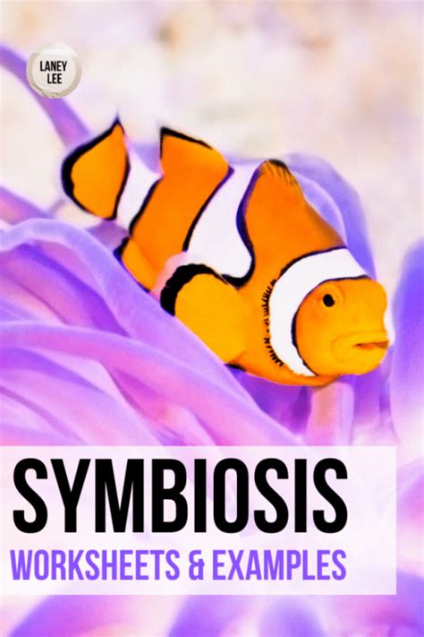 Symbiosis Worksheet & Examples for Middle School Science