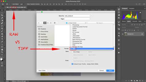 Raw Vs Tiff Which File Type Should You Use For Photography