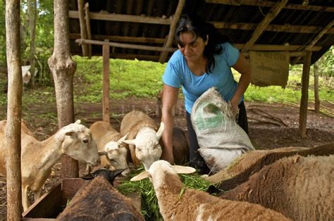 Mujeres Rurales De La Producción Familiar Al Debate En La Agenda Global El Litoral