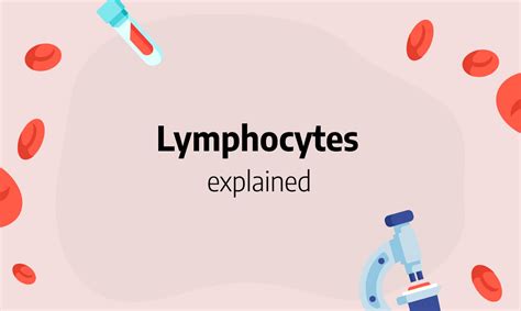 Lymphocytes Low High Functions And Absolute Count Als